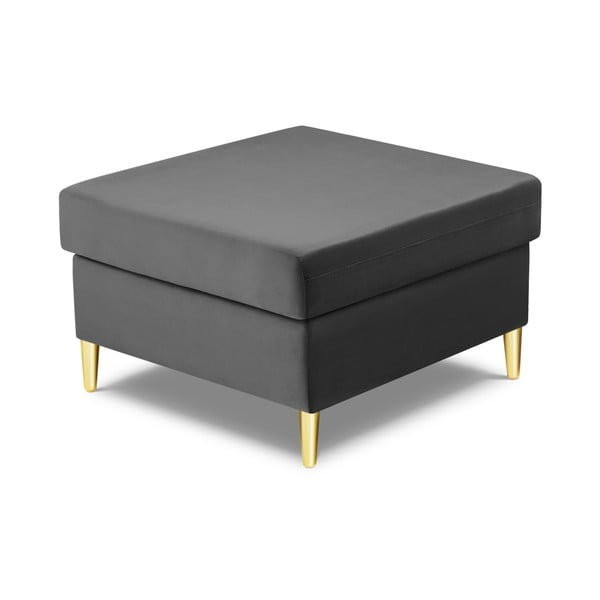 Šviesiai pilkos spalvos iš velveto taburetė Kyoto – Cosmopolitan Design-image-2