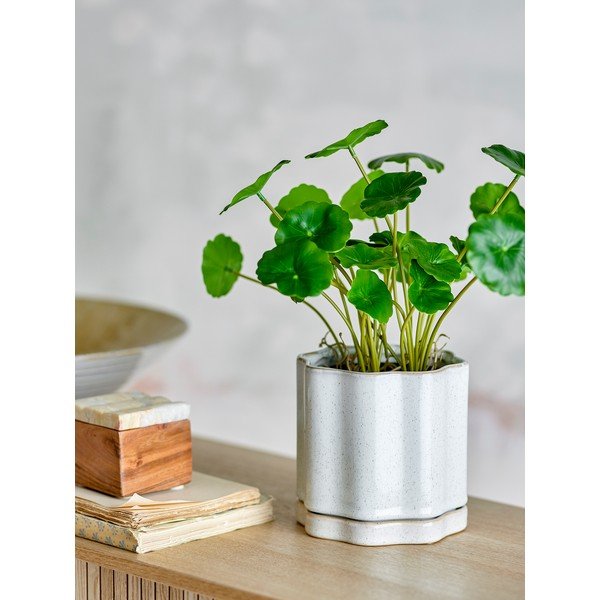 Iš molio vazonas žolelėms ø 13 cm Argyle – Bloomingville-image-1
