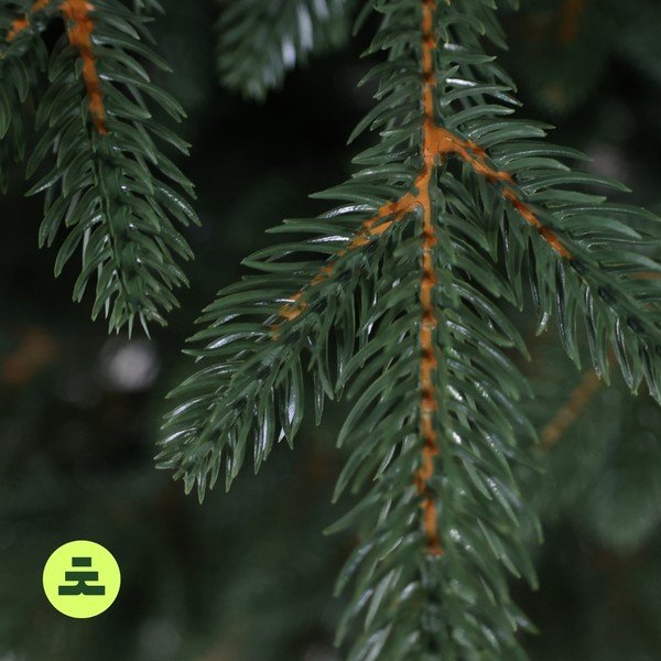 Kalėdinė eglutė aukštis 150 cm Canadian Spruce 3D – Můj Stromeček-image-4