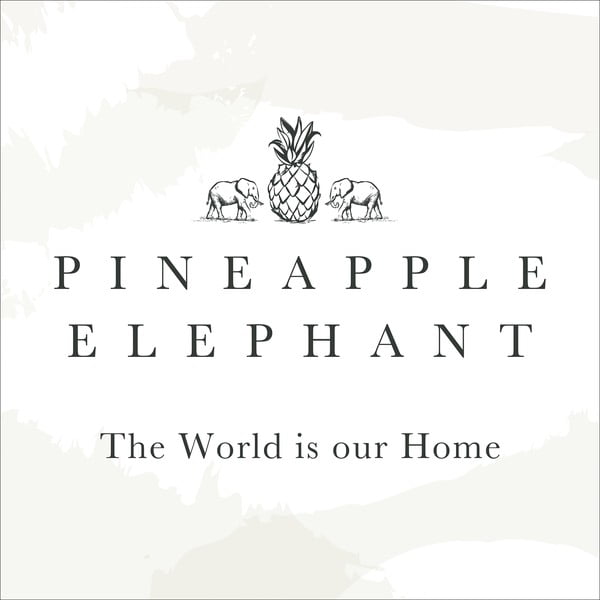 Pagalvės užvalkalai 2 vnt. 50x75 cm Tamba Stripe – Pineapple Elephant-image-3
