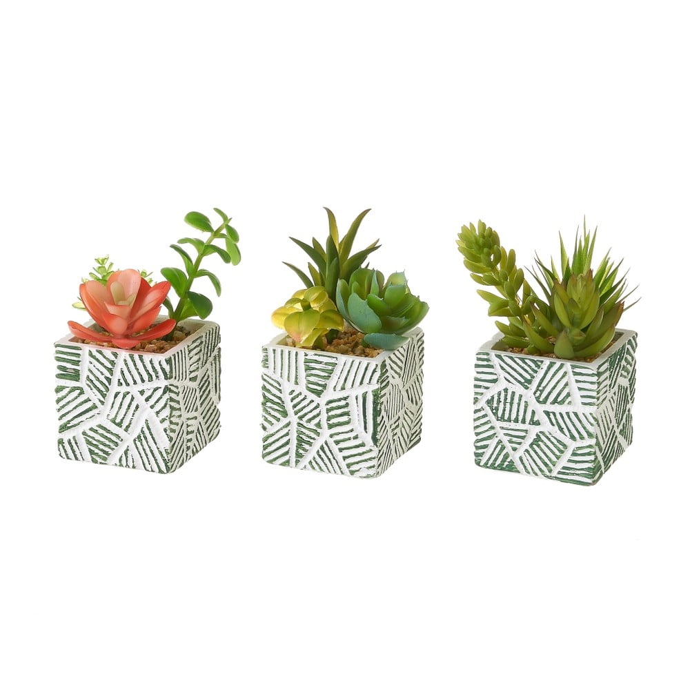 Dirbtiniai Augalai 3 Vnt. (aukštis 12 Cm) Cactus – Casa Selección | Bonami