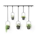 Iš plastiko gėlių vazonų dangteliai 5 vnt. žolelėms/pakabinami ir sieniniai ø 7,5 cm Triflora – Umbra