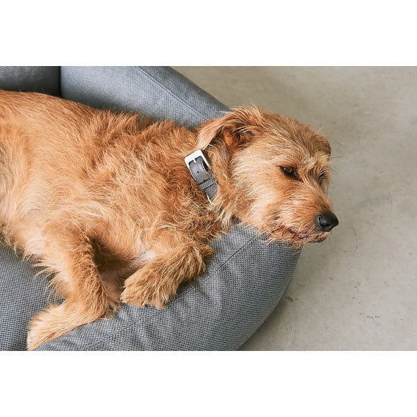 Augintinio guolis rudos spalvos šuniui 93x120 cm Mare Kelp L – MiaCara-image-3