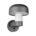 Sieninis lauko šviestuvas (aukštis 24,5 cm) Fraser – Trio