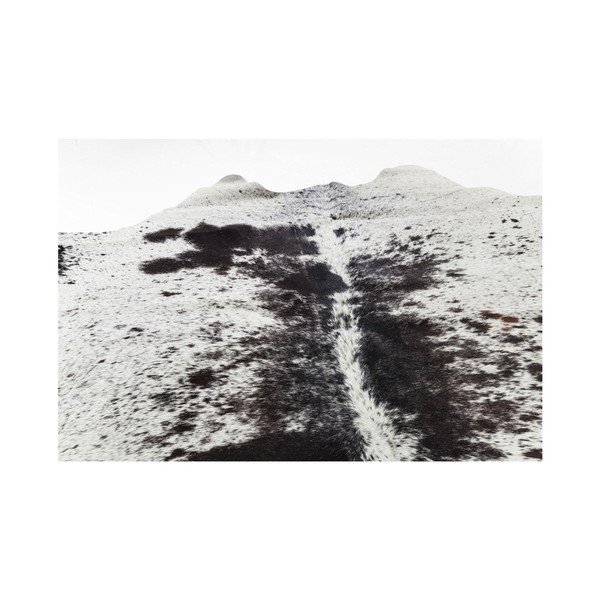 Baltos ir rudos spalvos karvės odos kilimas Kare Design Hide, 190 x 150 cm-image-3