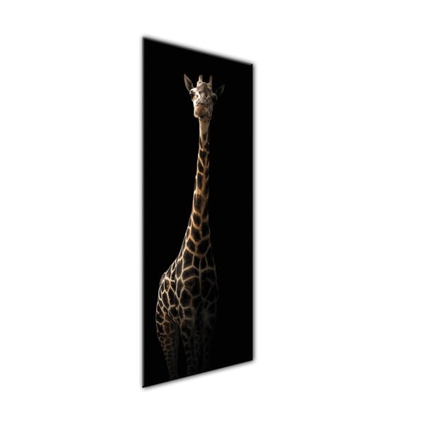 Paveikslas Styler Glas Animals Gira, 50 x 125 cm-image-1