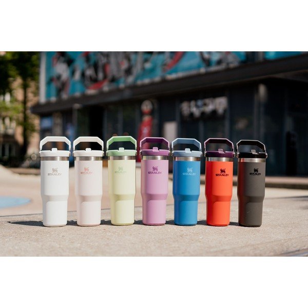 Termosas violetinės spalvos 890 ml – Stanley-image-1