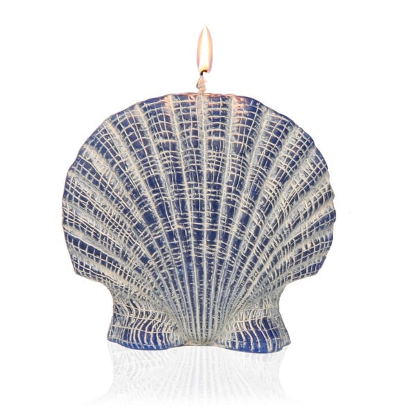 Dekoratyvinė kriauklės formos žvakė Versa Viera Grande