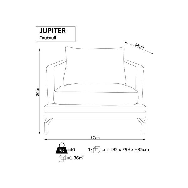 Smėlio spalvos fotelis Windsor & Co. Sofos Jupiter-image-1