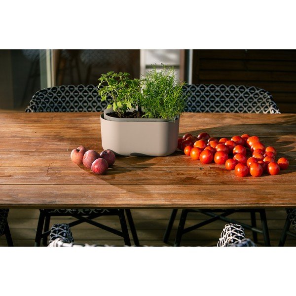 Smėlio spalvos savaiminio laistymo vazonas Plastia Tolita-image-2