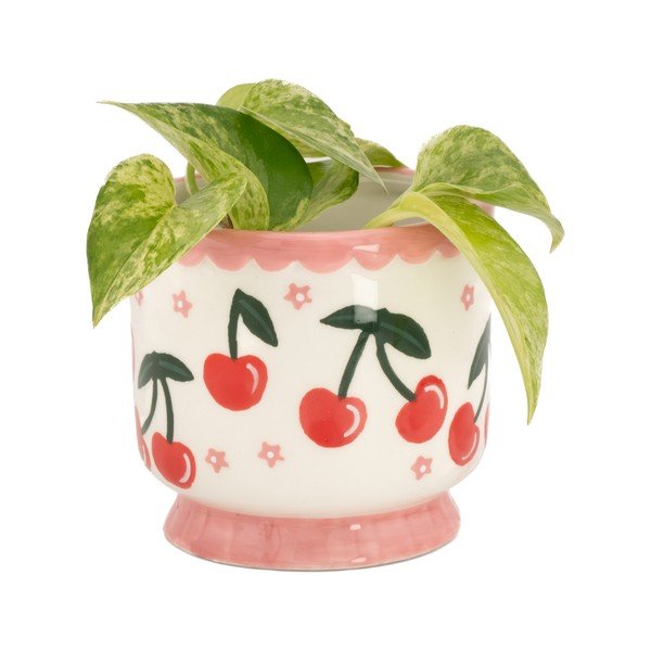 Iš keramikos gėlių vazono dangtelis ø 7,5 cm Fruit – Sass & Belle-image-1