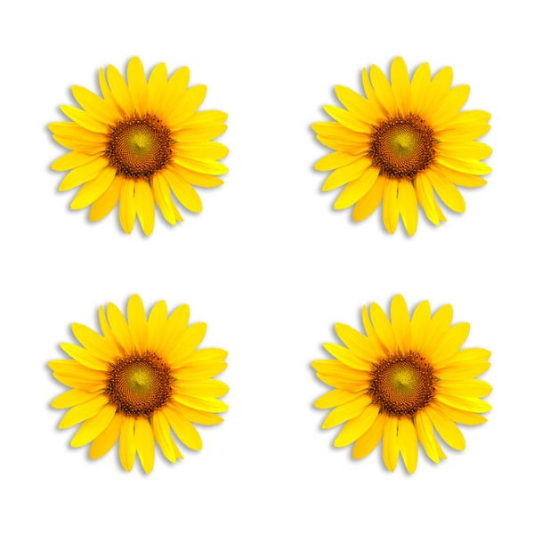 4 dekoratyvinių džiuto padėkliukų rinkinys "Madre Selva Sunflower