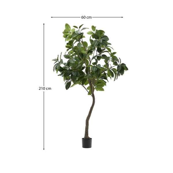 Dirbtinis fikusas (aukštis 210 cm) Ficus – Kave Home-image-4