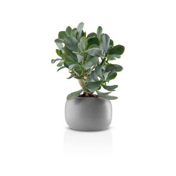 Pilkas keramikinis vazonas Eva Solo Stone, skersmuo 16 cm-image-2