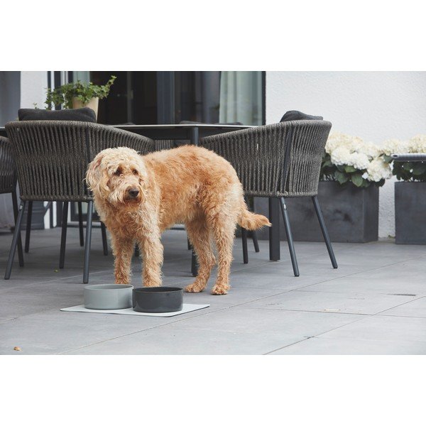 Iš porceliano augintinių dubuo šuniui ø 20 cm Scodella Cement M/L – MiaCara-image-1
