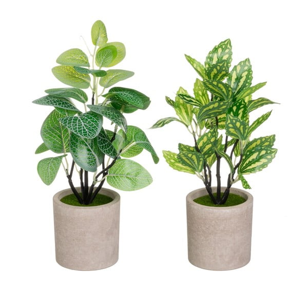 Dirbtiniai augalai 2 vnt. (aukštis 28 cm) – Casa Selección