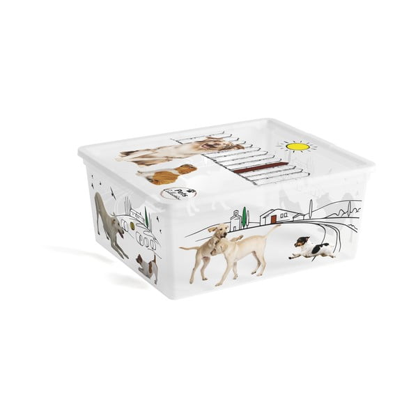 Baltos spalvos iš plastiko daiktadėžė su dangčiu 40x34x17 cm C Box Style – KIS