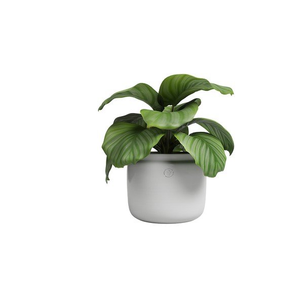 Rankų darbo vazonas iš keramikos ø 26 cm Astrea – Artevasi-image-4