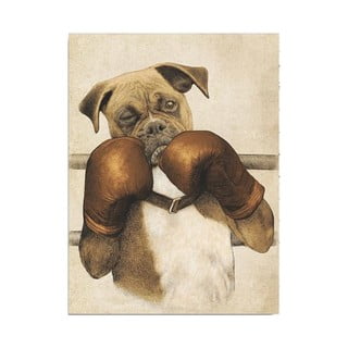 Paveikslas ant drobės Boxer, 30 x 40 cm