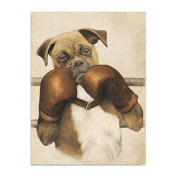 Paveikslas ant drobės Boxer, 30 x 40 cm