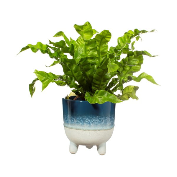 Mėlynas vazonas Sass & Belle Bohemian Home Mojave, ø 11,7 cm-image-2
