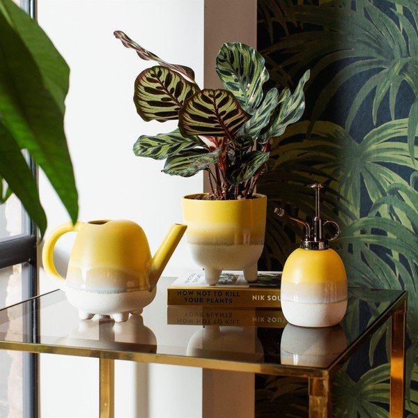 Geltonas vazonas Sass & Belle Bohemian Home Mojave, ø 11,7 cm-image-1