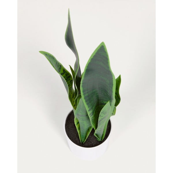 Dirbtinis augalas (aukštis 55 cm) Sansevieria – Kave Home-image-2