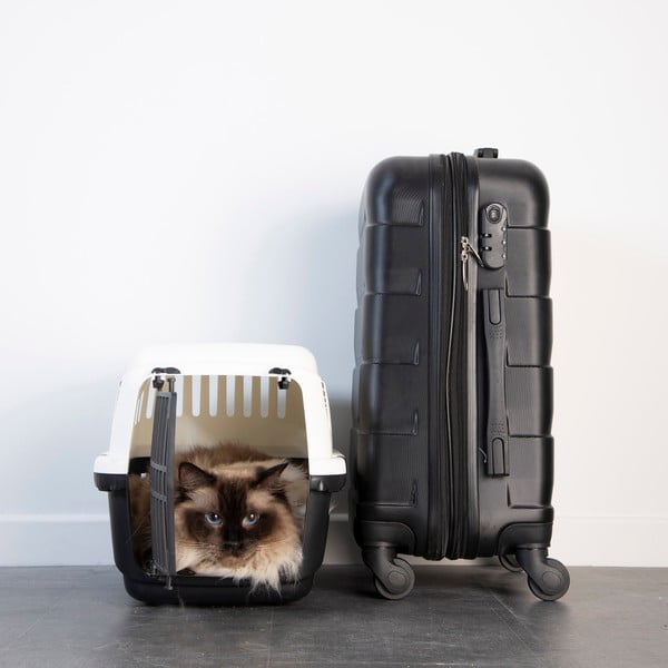 Vežimėlis augintiniams visi augintiniai 31x46 cm – Love Story-image-1