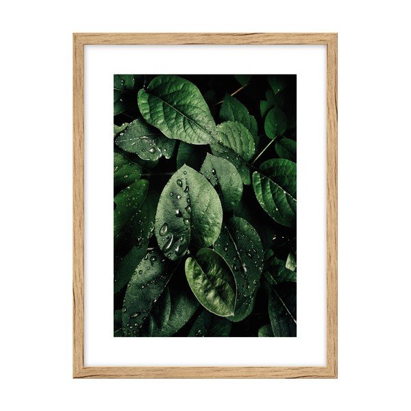 Plakatas 30x40 cm Leaves - knor