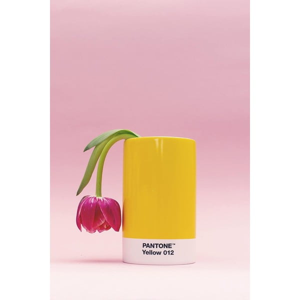 Raudona keraminė pieštukinė Pantone-image-1