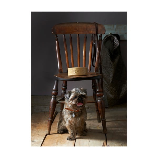 Akmens masės dubenėlis šunims Mason Cash Dog Cane, ø 25 cm-image-3
