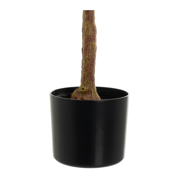 Dirbtinė gėlė Eucalyptus – Casa Selección-image-3