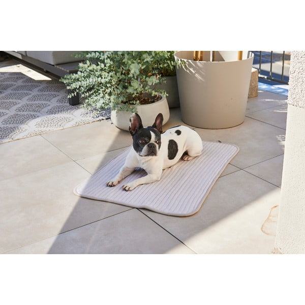 Iš medvilnės pledas pilkos spalvos šuniui 90x120 cm Onda Pebble L – MiaCara-image-2