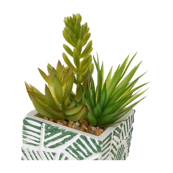 Dirbtiniai augalai 3 vnt. (aukštis 12 cm) Cactus – Casa Selección-image-1
