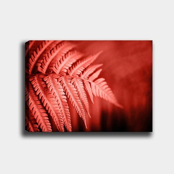 Sienų tapyba ant drobės "Tablo Center Palm", 40 x 60 cm