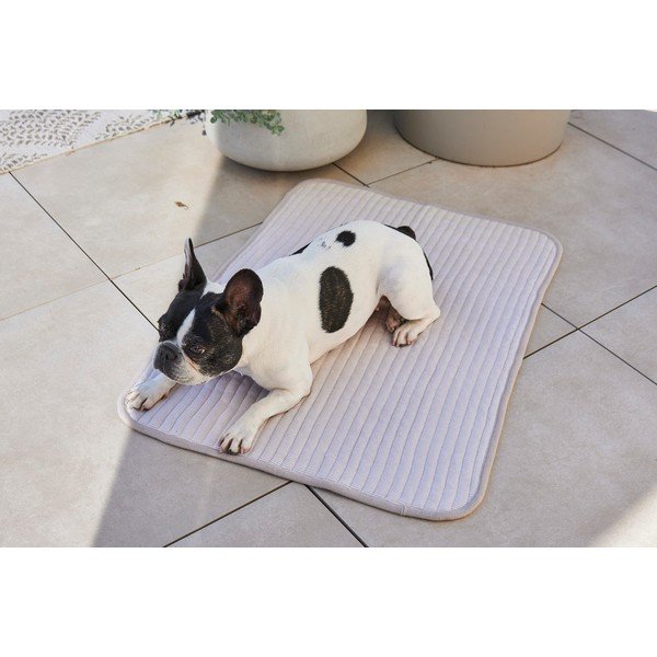 Iš medvilnės pledas pilkos spalvos šuniui 75x100 cm Onda Pebble M – MiaCara-image-3