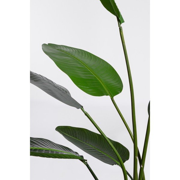 Dirbtinė gėlė (aukštis 185 cm) Sterilizia – Bizzotto-image-1