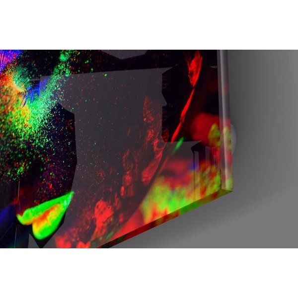 Paveikslas ant stiklo Insigne Neon-image-2