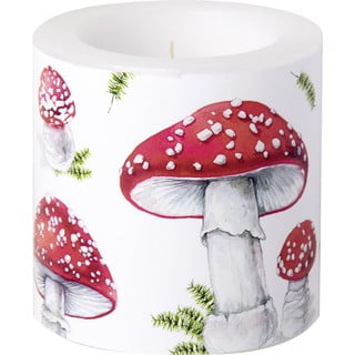 Žvakė, degimo trukmė 25 h Fairy Tale Mushrooms - IHR