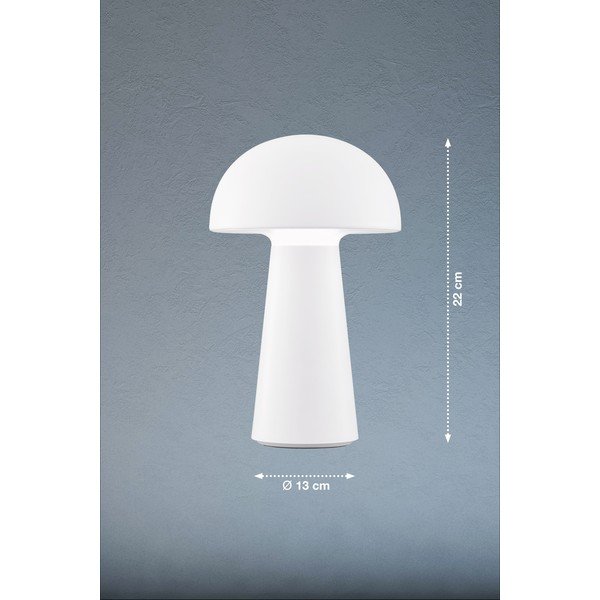 Baltas šviesos diodų šviesos stalinis šviestuvas su judesio jutikliu (aukštis 22 cm) Viga - Fischer & Honsel-image-2