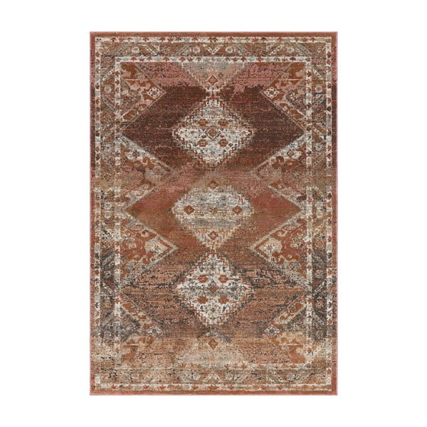 Raudonai rudas kilimas 290x195 cm Zola - Asiatic Carpets