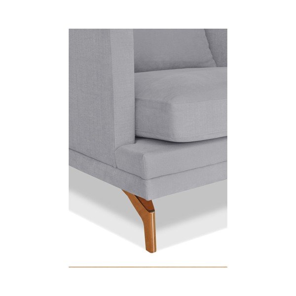 Pilka dvivietė sofa "Windsor & Co. Sofos Jupiter-image-3
