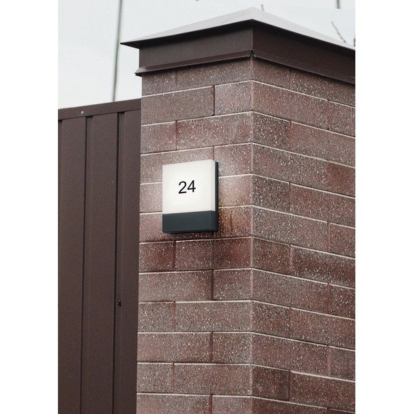 Sieninis lauko šviestuvas LED (aukštis 20 cm) Pecos – Trio-image-2