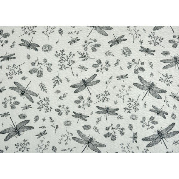 Balta-pilka krepinė patalynė dvigulei lovai 200x200 cm Dragonfly -image-1