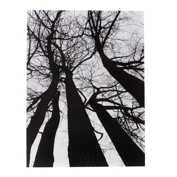 Vaizdas ant drobės Tomasucci Žiemos medis