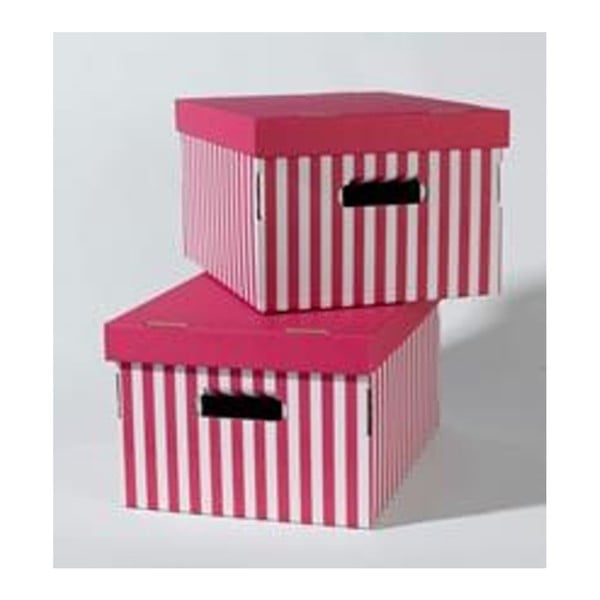2 saugojimo dėžių rinkinys Compactor Pink Stripes