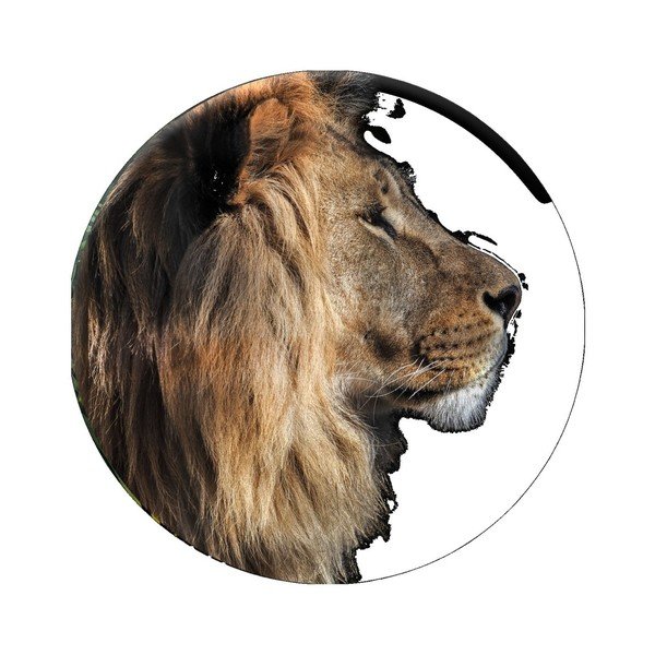 Sienų dekoracija "Styler Ring Lion", ø 70 cm