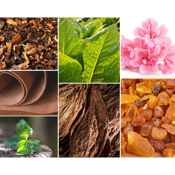 Namų kvapų difuzorius su lazdelėmis Privé Home Tobacco & Leather, 120 ml-image-1