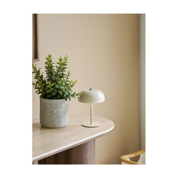 Dirbtinė gėlė (aukštis 33,5 cm) Succulent – House Nordic-image-1