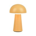 Lauko šviestuvas LED USB (aukštis 22 cm) Lennon – Reality